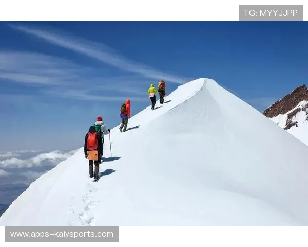 世界登山探险赛：选手在极端天气中坚持完成挑战，登山探险电影